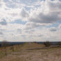 Connecterra