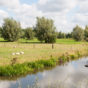 Kalkense Meersen